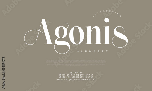 Stylish serif display font with sweeping curves and elegant contrast. Perfect for branding, packaging, and editorial headlines
