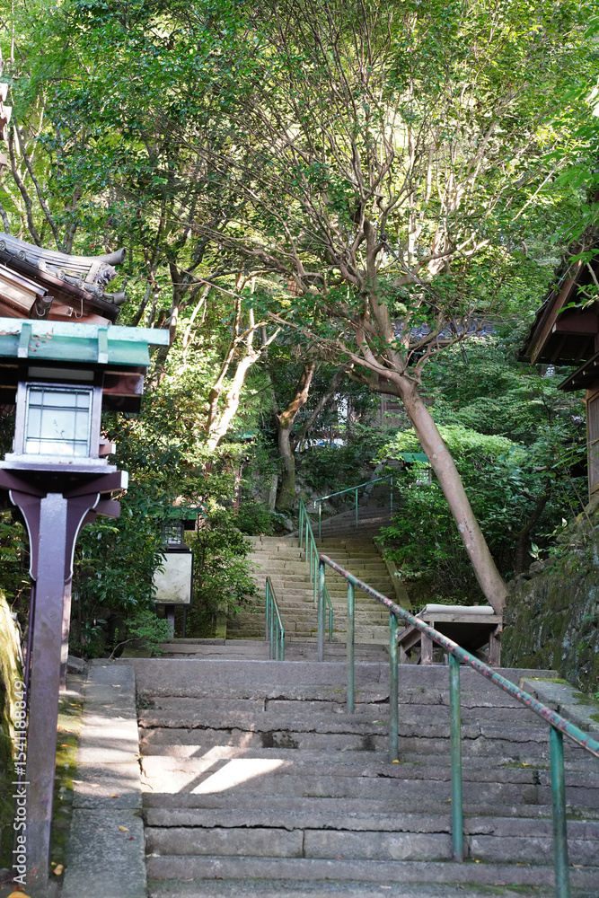 日本楓の緑が美しい京都長楽寺の境内風景 日本楓の緑が美しい京都長楽寺の境内風景