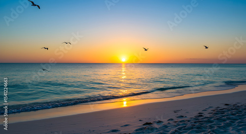 Fototapeta Naklejka Na Ścianę i Meble -  Beautiful sunset view on the beach with seagulls flying over the ocean