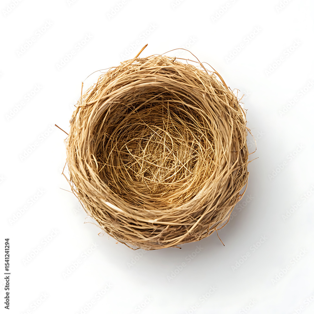Obraz premium Empty Bird Nest A Delicate Woven Structure of Twigs and Grass