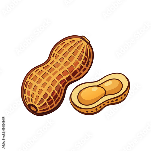 Whole Peanut in Shell and Half Peanut Kernel Isolated on White Background