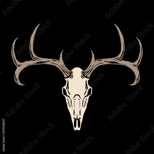 deer skull isolated