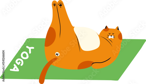 요가고양이3