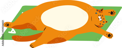 요가하고 누워있는 고양이