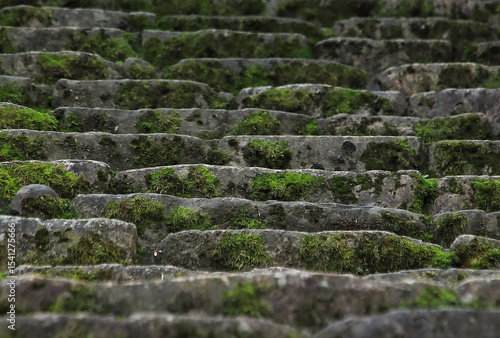 苔が生い茂るお寺の石階段