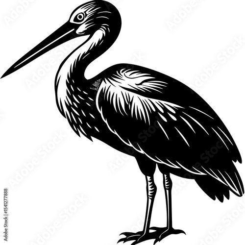 Stork with long beak silhouette