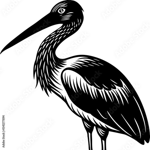 Stork with long beak silhouette