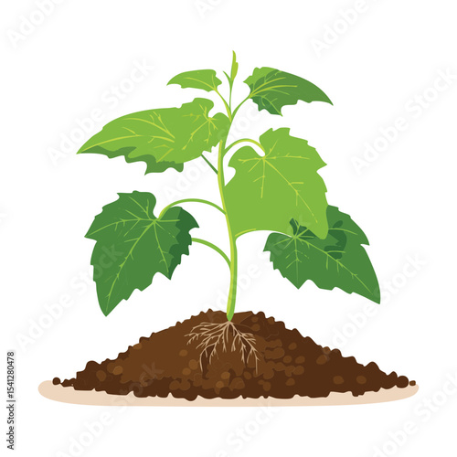 Healthy Young Plant in Fertile Soil