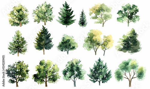 Set of hand painted watercolor trees and bushes with green foliage in various shapes and sizes isolated on white background for natural landscape design and decoration elements