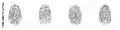 Fingerprint identification and security authentication