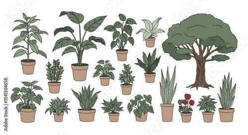A Collection of Diverse Indoor and Outdoor Plants Bringing Nature Inside and Out