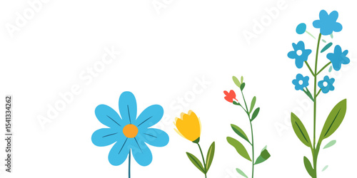 Beautiful blooming yellow tulips on a white background