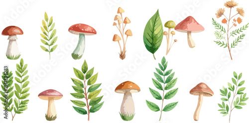 A vector set of autumn leaves and trees with various mushrooms and fungi, including edible and poisonous types, isolated on a white background