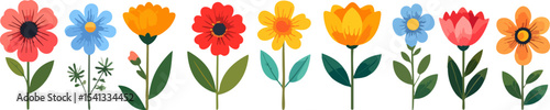 Red and yellow tulips bloom in a vibrant spring garden. This is a beautiful flower illustration
