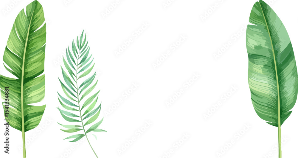Fototapeta premium Natural green leaf border design with spring leaves illustration on white background.