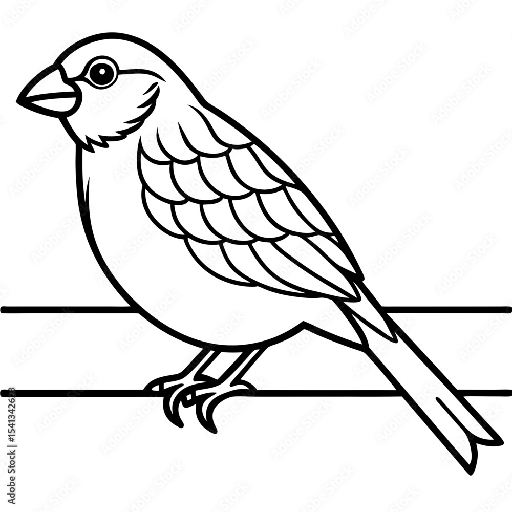 Obraz premium Small Finch on Wire Fence – Simple Rural Line Art Design