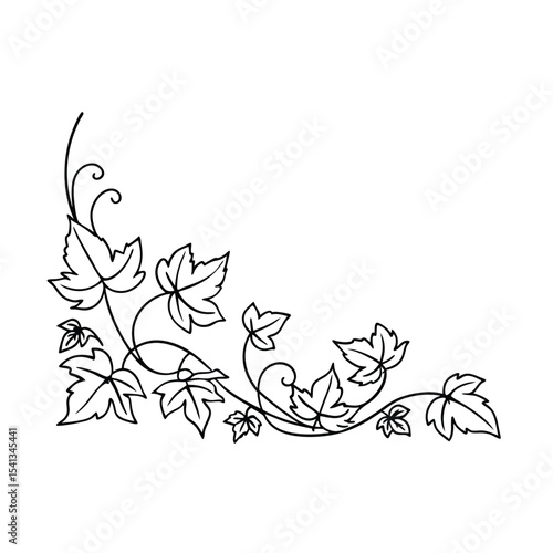 Elegant corner design featuring delicate black and white ivy leaves and swirls