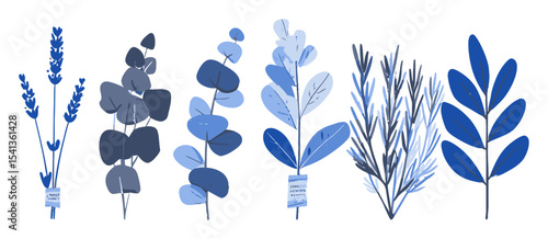 Elegant Blue Botanical Illustrations of Various Leaves and Herbs