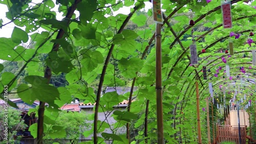  夏風に揺れる南部風鈴のアーチ（南部風鈴）track 