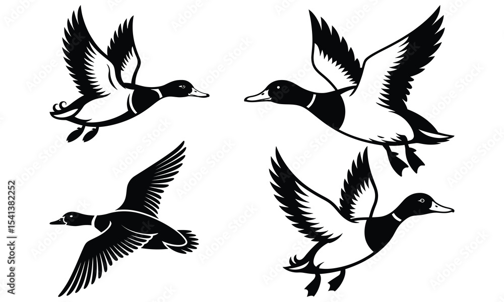 Fototapeta premium set of vector birds