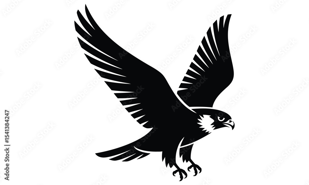 Obraz premium eagle in flight