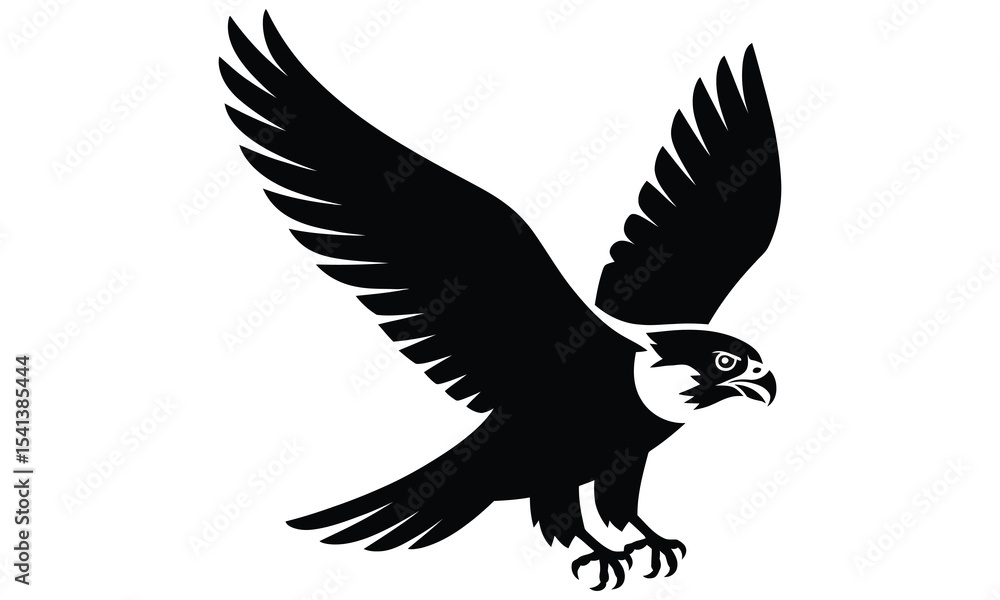 Obraz premium eagle in flight