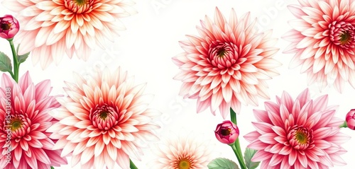 Elegant watercolor chrysanthemum blooms in various shades, ideal for wedding stationery,  card,  ceremony