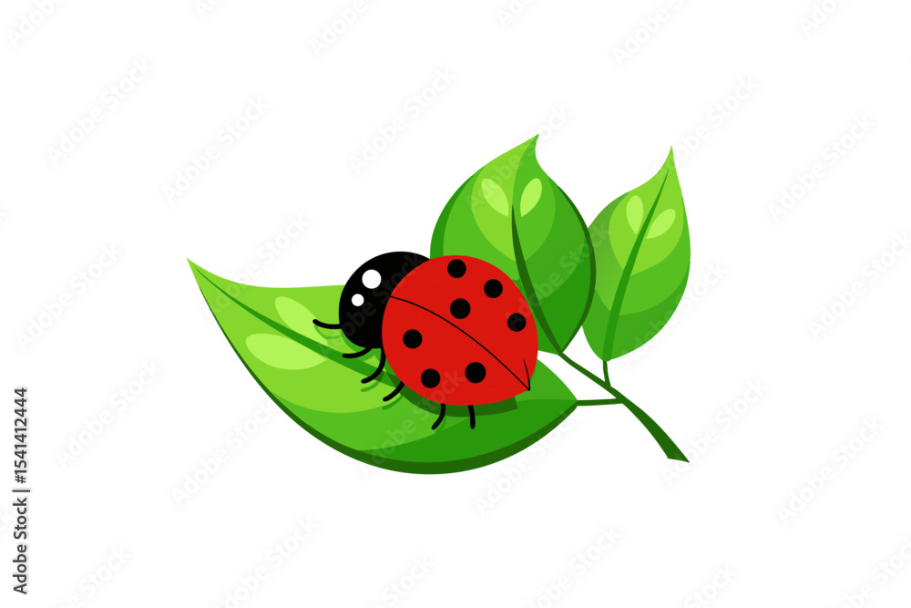 Fototapeta premium ladybug on green leaf