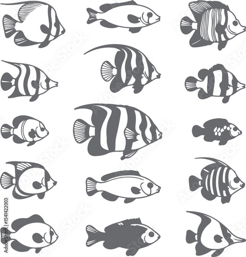 Collection of Gray Scale Fish Silhouettes Diverse Aquatic Life Forms Angelfish Butterflyfish and Other Species Illustrated in Monochromatic Style