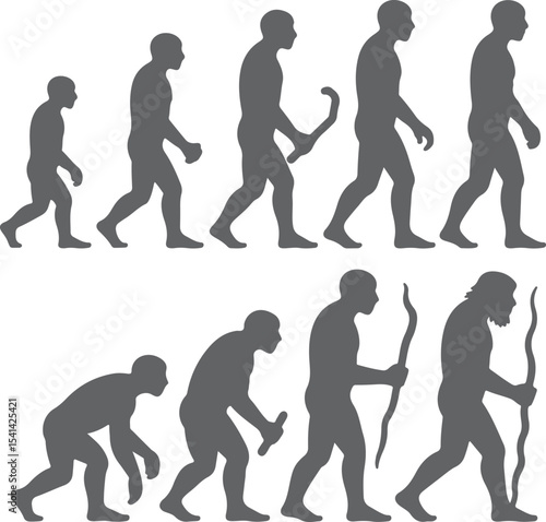 Gray Silhouette Human Evolution Stages Progression Primate Ape to Modern Man Development Sequence