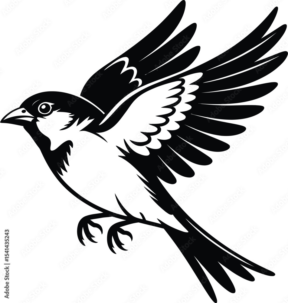 Fototapeta premium A black and white illustration of a bird in flight with wings spread wide