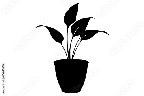 Single Peace Lily Plant Silhouette in Ceramic Pot – Elegant Indoor Houseplant