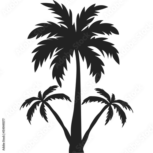 Palm Tree Silhoutte