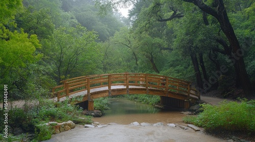 A wooden arched bridge over a small stream in a lush, green forest.