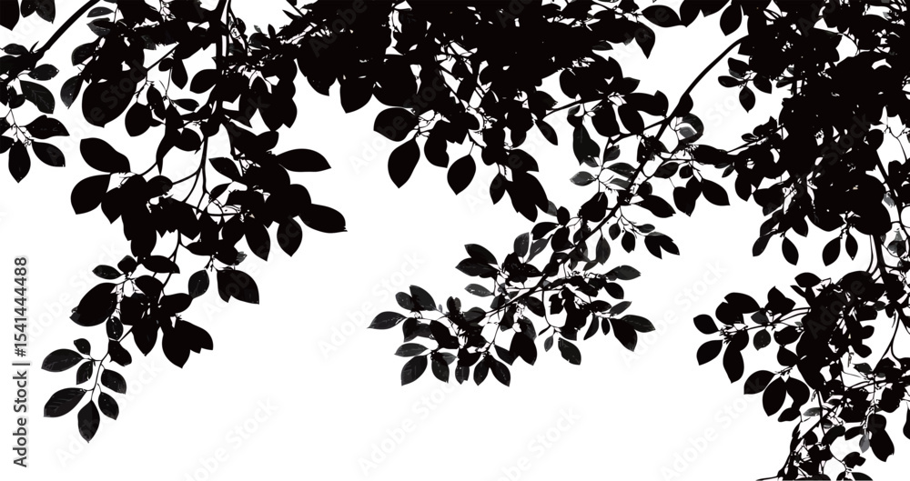 Fototapeta premium Silhouetted leaves against a bright backdrop, creating a serene and natural view.