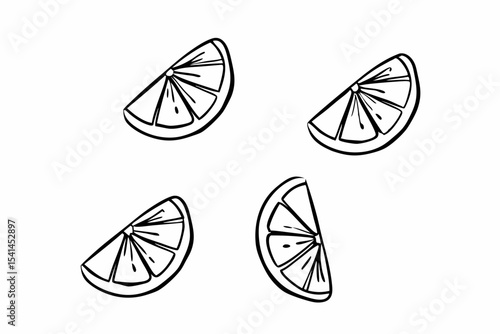 Four hand drawn lemon slices illustration