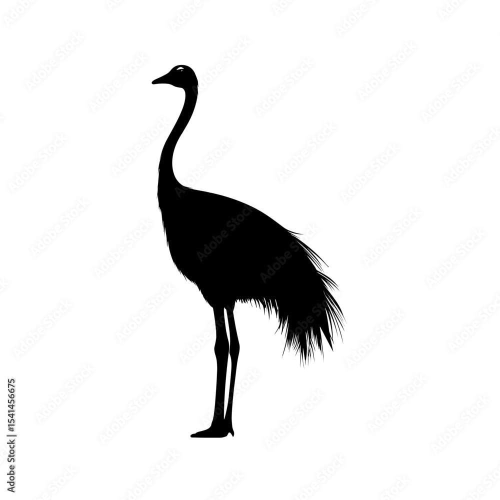 Ostrich silhouette vector Ostrich silhouette vector