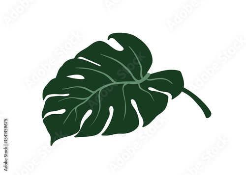 Monstera deliciosa leaf. Tropical exotic green plant. Large broad greenery, big split foliage. Fresh natural decor. Botanical floral element. Flat vector illustration isolated on white background