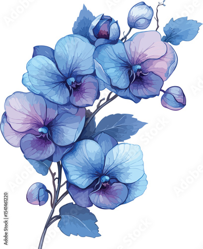 Watercolor Illustration of Blue Orchid Flowers on a Branch