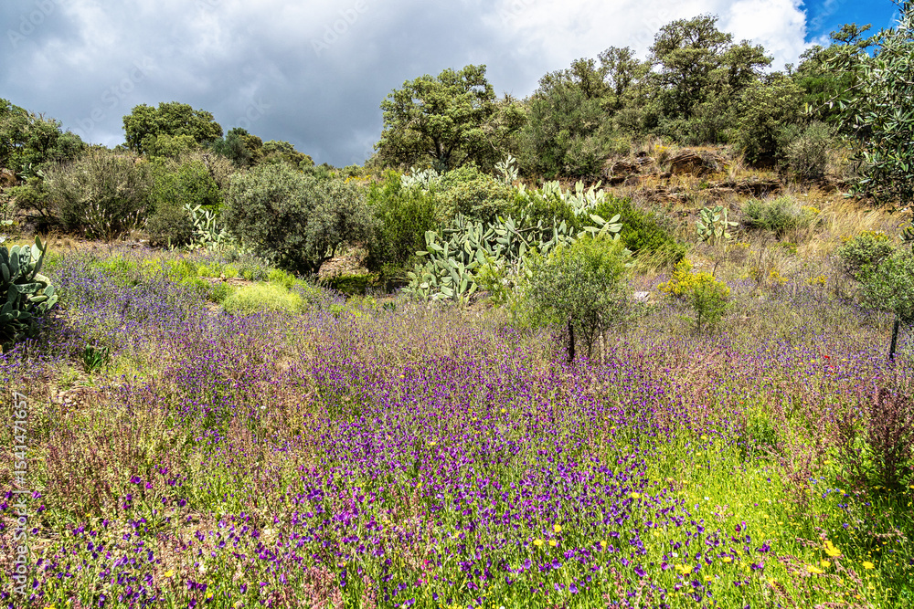 Obraz premium Hiking along the river Vascao located near Gioes in the Algarve region in Portugal.