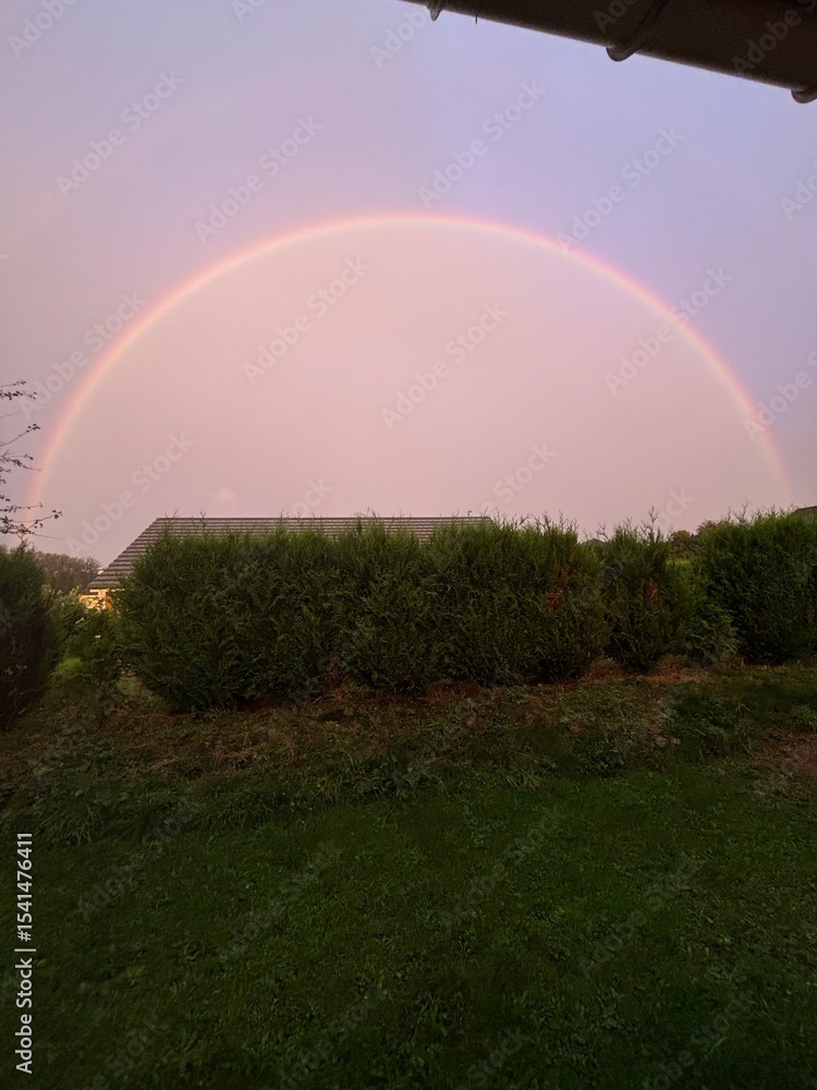 Naklejka premium coucher de soleil nature paysage