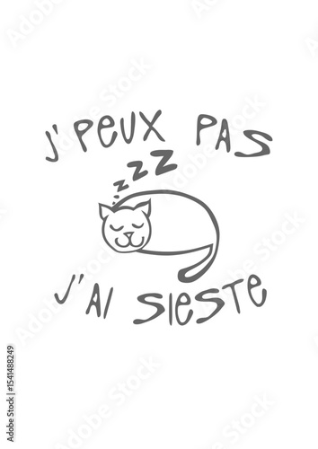 sieste je peux pas chat dort citation humour