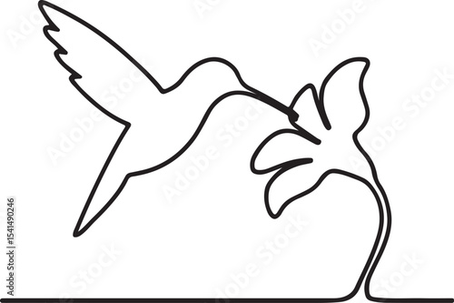Continuous one line art illustration of humming bird on flower.