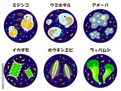 顕微鏡で観察したプランクトンのイラスト素材セット
