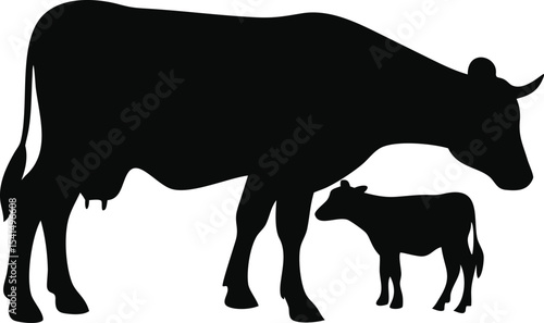 Cow and calf silhouette isolated on white background