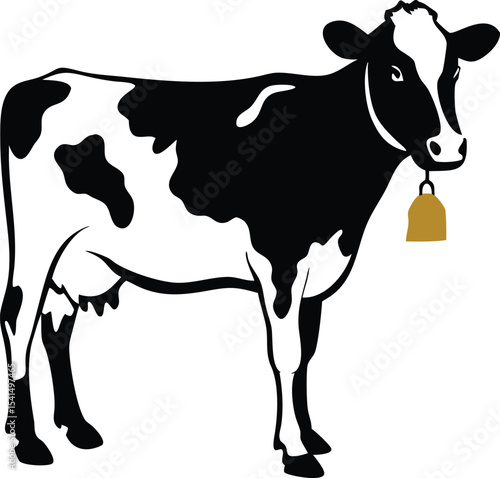 Black and white cow with a bell isolated on white background