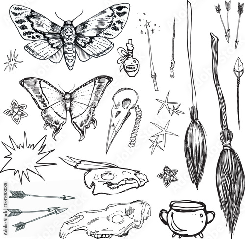 Doodle line art drawing clipart halloween holiday party invitation. Hand drawn minimalistic icons bird skull witch items broom animal skull comic ar Gothic stickers design elements occult scary theme	