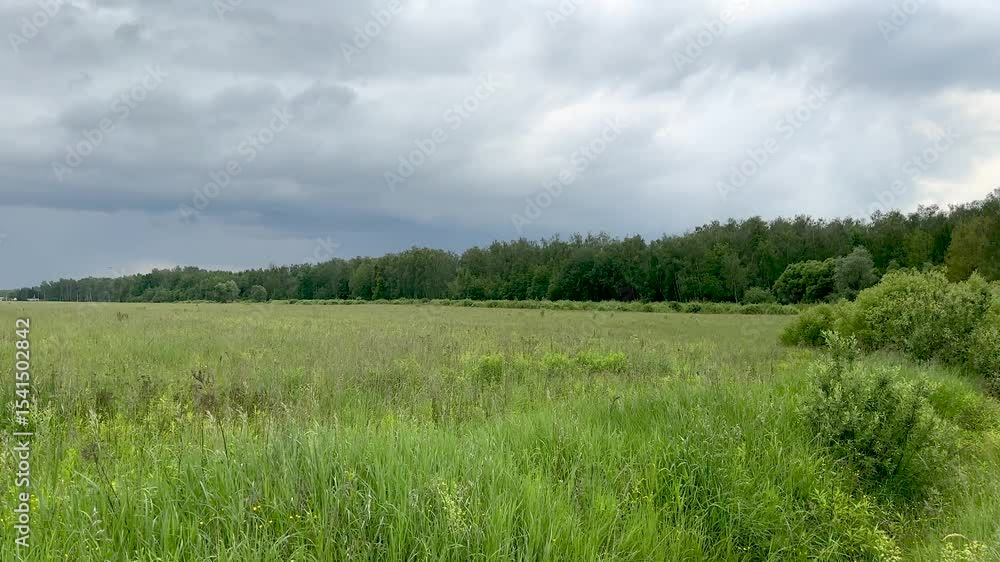 Rainy weather with a view of the forest in the vicinity of dachas (4K60) Rainy weather with a view of the forest in the vicinity of dachas (4K60)