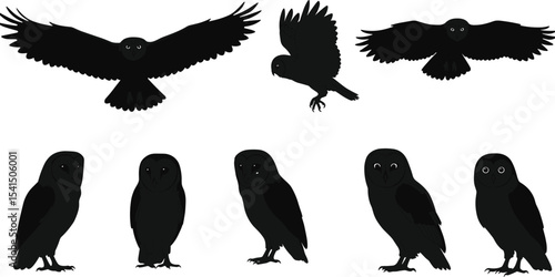 Owl silhouette collection, nocturnal bird poses, flying and perched illustrations, black vector set, wildlife symbol design, forest nature theme, elegant animal artwork, graphic