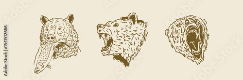 Bear Heads Line Art Set – A trio of hand-drawn vintage bear head illustrations with different expressions, perfect for logos, shirts, badges, and rugged outdoor graphics.